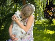 Les races de chien qui sont les plus généreuses avec leur maitre Humain-chien