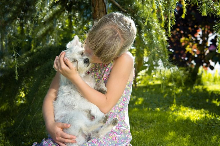 Les races de chien qui sont les plus généreuses avec leur maitre
