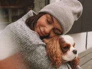 Les races de chiens qui sont les plus proches de leur maître : une fabuleuse complicité ! Cavalier King Charles Spaniel et maître