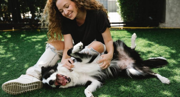 Les 7 petits plaisirs méconnus de votre chien