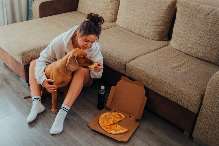 Top 10 des chiens les plus gourmands