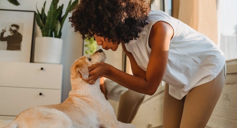 6 gestes d’amour à offrir à votre chien au quotidien