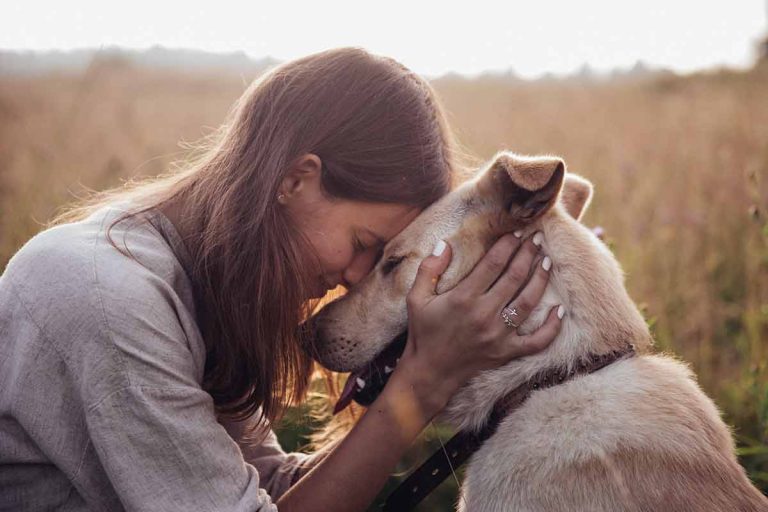 Les 8 races de chien parfaites pour les personnes qui vivent seules