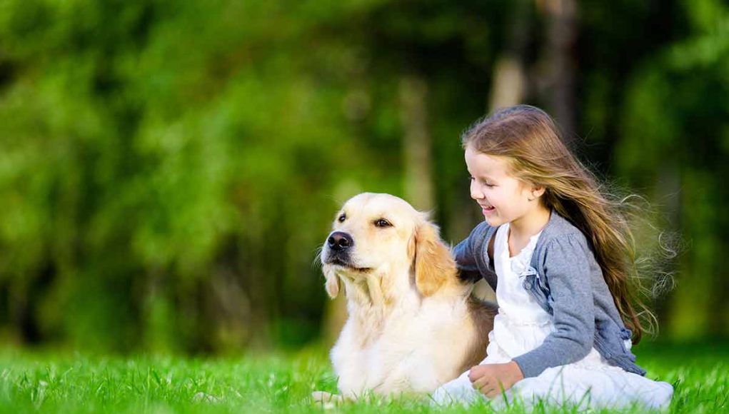 races de chien adorables avec les enfants