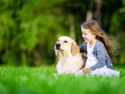 Les races de chien qui sont les plus adorables avec les enfants races de chien adorables avec les enfants