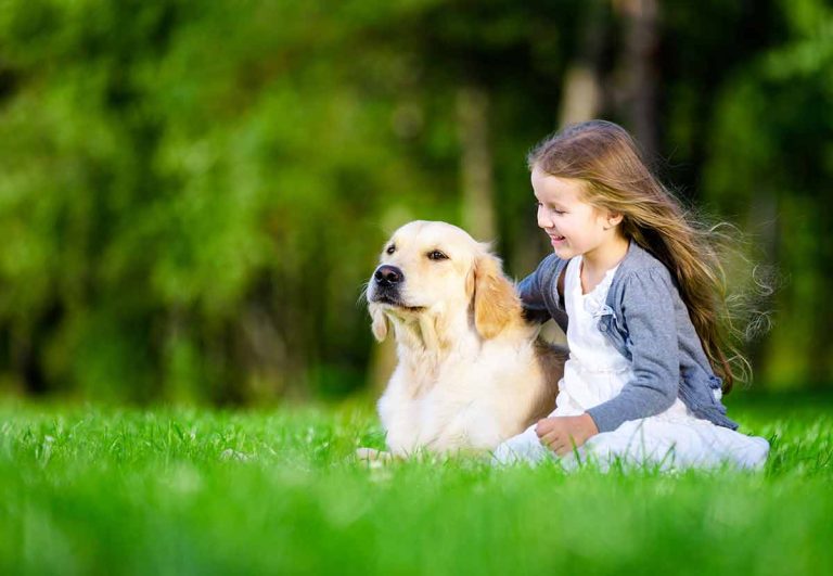Les races de chien qui sont les plus adorables avec les enfants