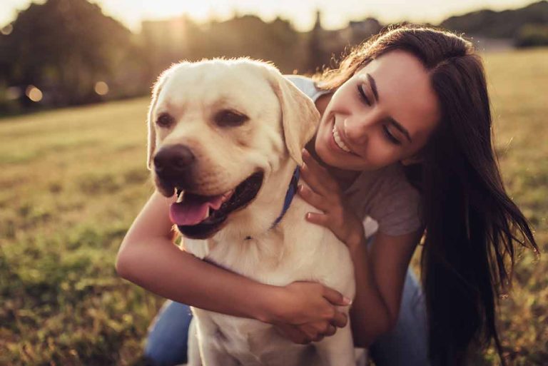 Les races de chiens qui sont des compagnons bienveillants avec leur maitre