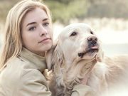 Les races de chien qui sont hyper fusionnelles avec leur maître races de chien fusionnelles avec leur maître