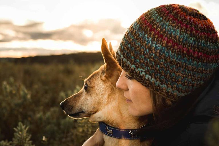 Les races de chien qui sont vraiment géniales avec leur maître