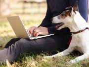 Les races de chien qui ont inspiré des œuvres littéraires Races de chiens qui ont inspiré des œuvres littéraires