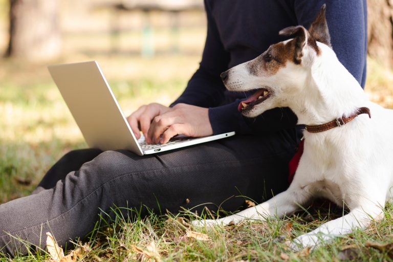 Les races de chien qui ont inspiré des œuvres littéraires