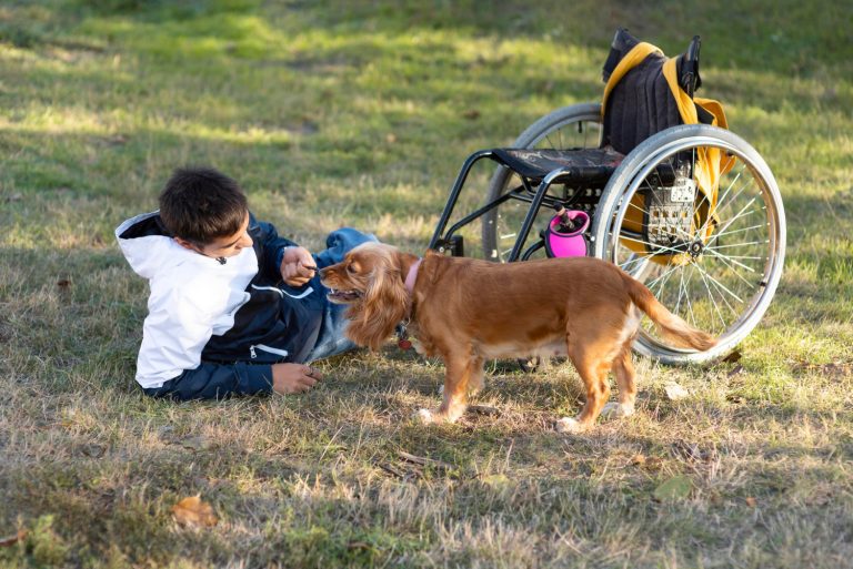 Les races de chien qui sont les meilleurs auxiliaires de rééducation