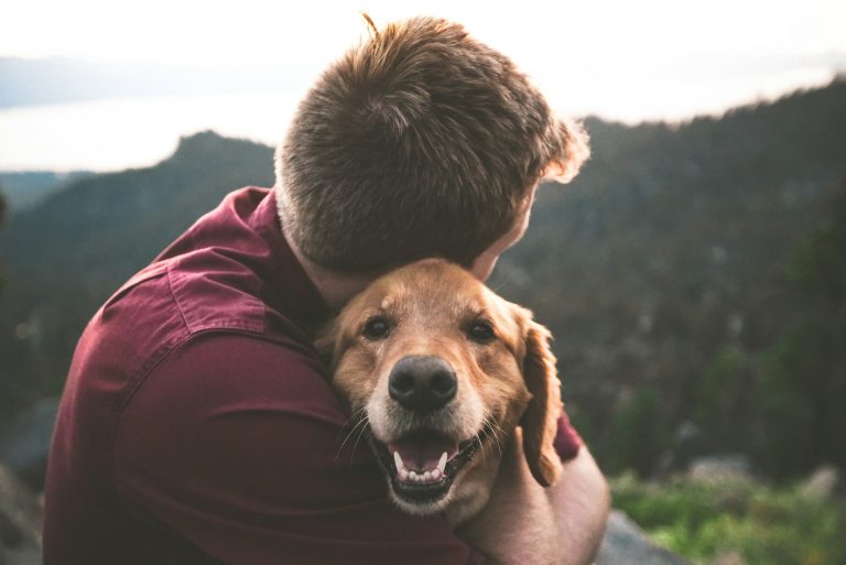 Les races de chiens qui font d’excellents chiens de thérapie