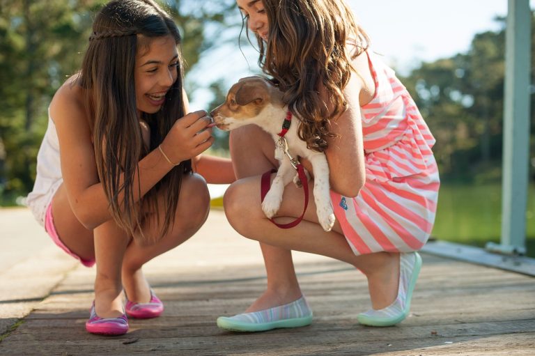Les races de chiens qui favorisent la santé mentale de leur propriétaire