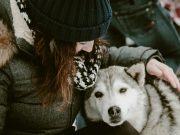 Les races de chien qui sont les plus cajoleuses avec leur maitre chien câlin