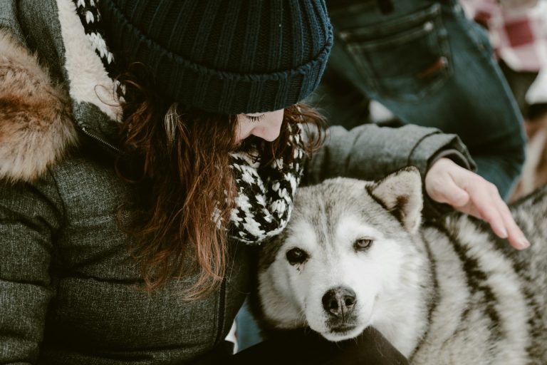 Les races de chien qui sont les plus cajoleuses avec leur maitre