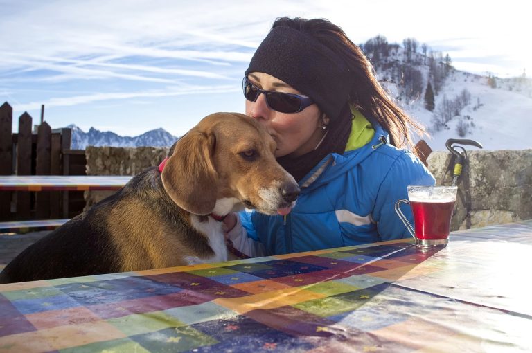 Les races de chien qui ont besoin de beaucoup d’attention