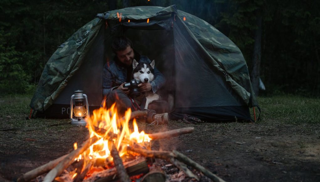 chien camping