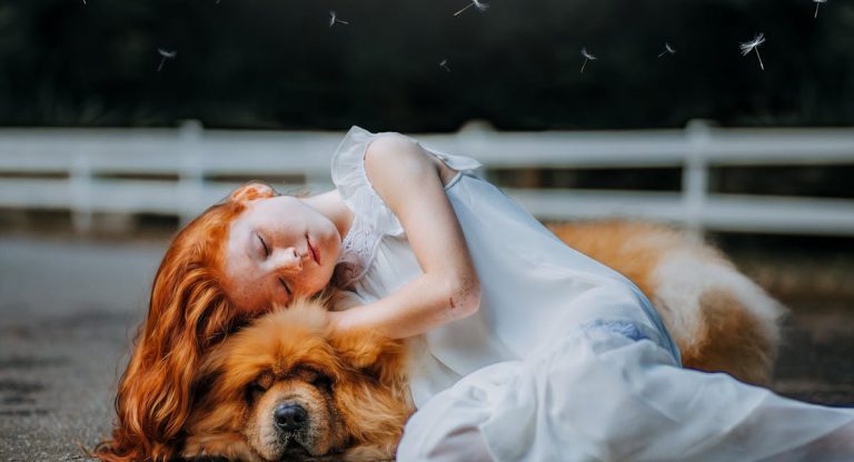 Où est-il préférable de faire dormir son chien ?