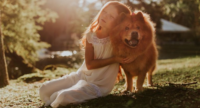 Les races de chien qui sont les plus adaptés aux personnes introverties