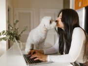 Les races ce chien qui ont besoin de beaucoup d’affection et de tendresse chiens qui ont besoin d'affection