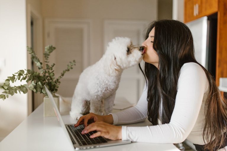 Les races ce chien qui ont besoin de beaucoup d’affection et de tendresse