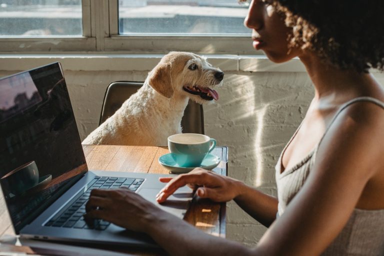 Les races de chien qui n’aiment pas du tout les changements de routine