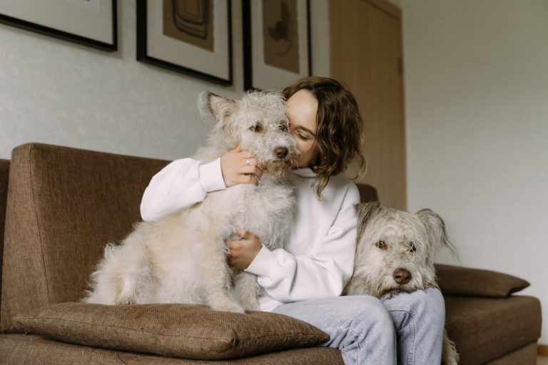 Les races de chien qui font le plus attention à leur maître