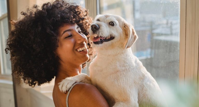 Les races de chien qui ont une connexion fusionnelle avec leur maître