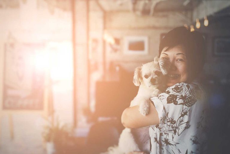 Les races de chien qui conviennent le plus à la vie en maison de retraite