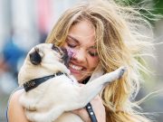 Les races de chiens idéales si vous vous sentez seul races de chiens idéales si vous vous sentez seul