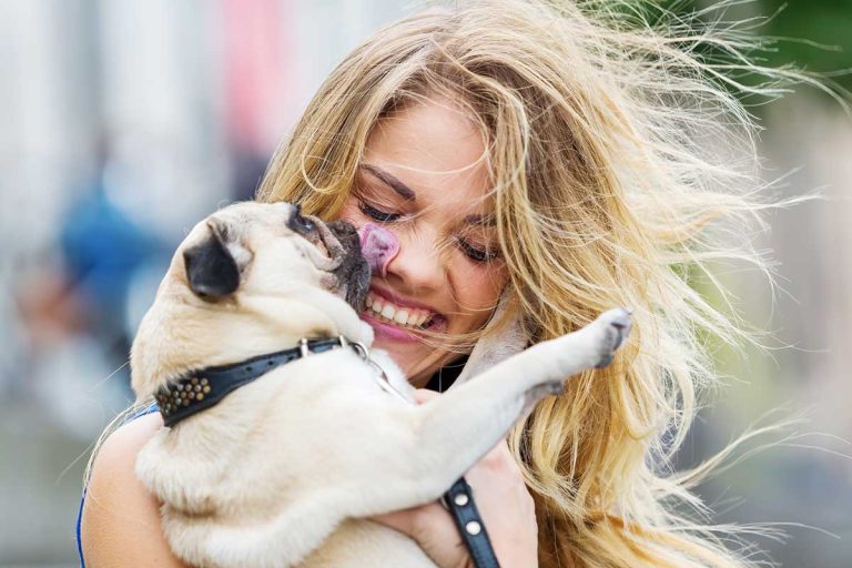 Les races de chiens idéales si vous vous sentez seul