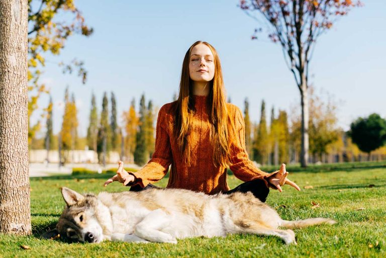 Les races de chien qui veulent participer à des séances de méditation avec leur maître