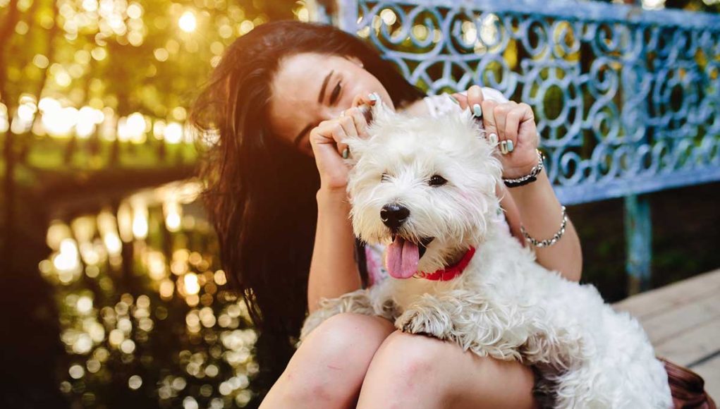 races de chien qui vous apporteront le plus de bonheur