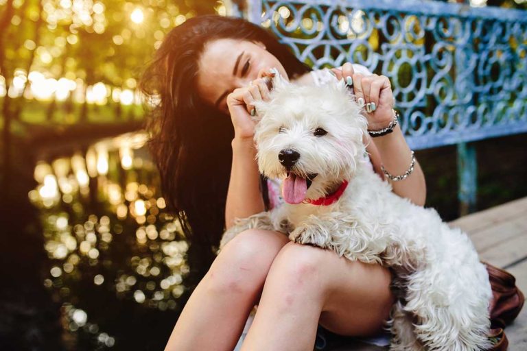 Les races de chien qui vous apporteront le plus de bonheur