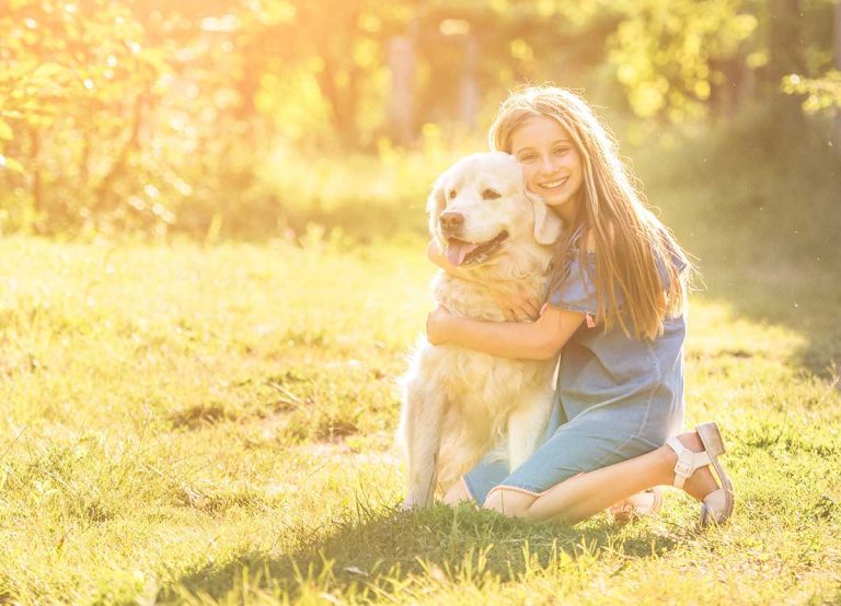 Les races de chien qui sont merveilleuses avec leur maitre