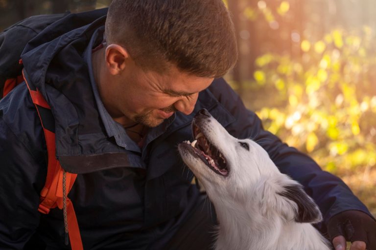7 astuces pour renforcer le lien avec votre chien