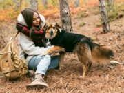 Les races de chiens qui sont les plus aventureuses Races de chien les plus aventureuses