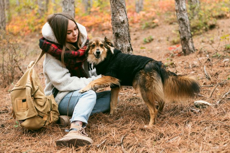 Les races de chiens qui sont les plus aventureuses