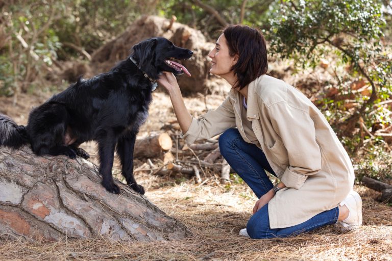 Les 8 races de chien qui créent des liens indestructibles avec leur maître