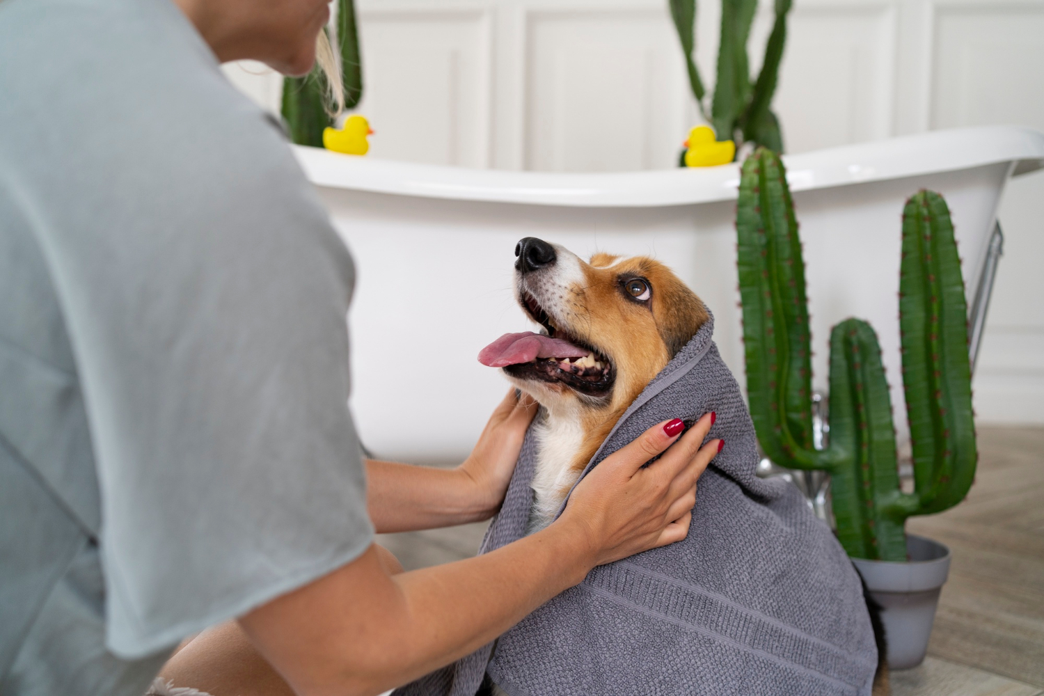 Astuces pour rendre le toilettage de votre chien plus facile