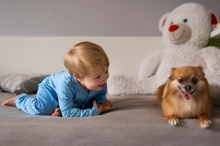 Comment préparer votre chien à l’arrivée d’un bébé dans la famille ?