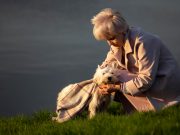 Les races de chiens qui vieillissent le plus vite que les autres Races de chiens qui vieillissent vite