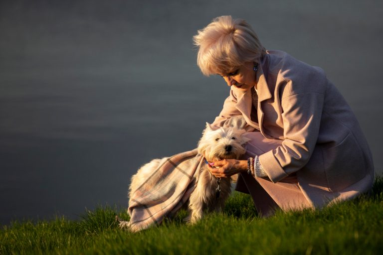 Les races de chiens qui vieillissent le plus vite que les autres