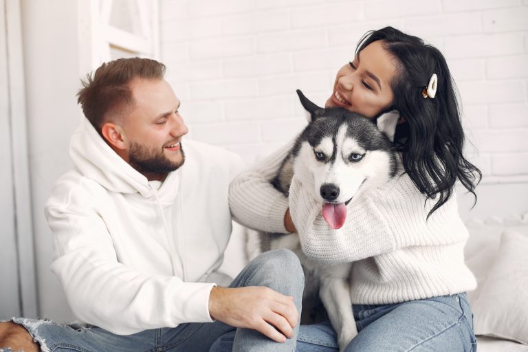 8 astuces pour garder votre chien calme lors des visites chez le vétérinaire