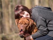 10 astuces simples pour que votre chien soit plus obéissant Astuces pour avoir un chien obéissant