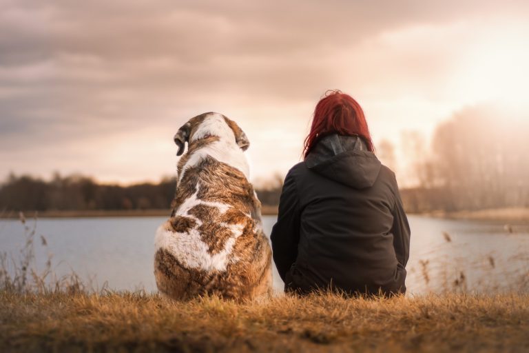 Les races de chien qui sont parfaites pour les amoureux de la nature