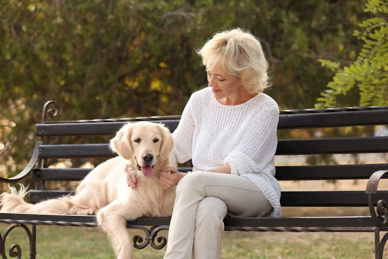 Les races de chien qui sont les meilleurs amis des personnes âgées
