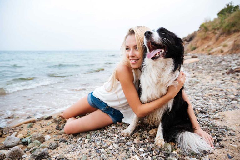 Les races de chien qui sont les plus dévouées à leur maitre
