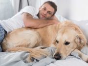 Les races de chien qui font les meilleurs amis de leur maître races de chien qui font les meilleurs amis de leur maître